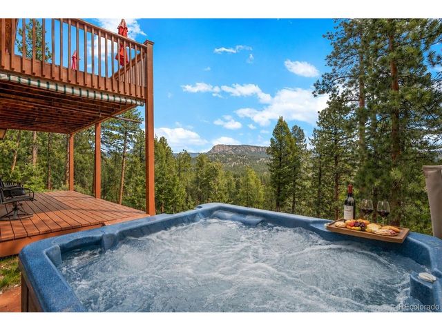 181 Catamount Ridge Rd, Bailey, CO 80421