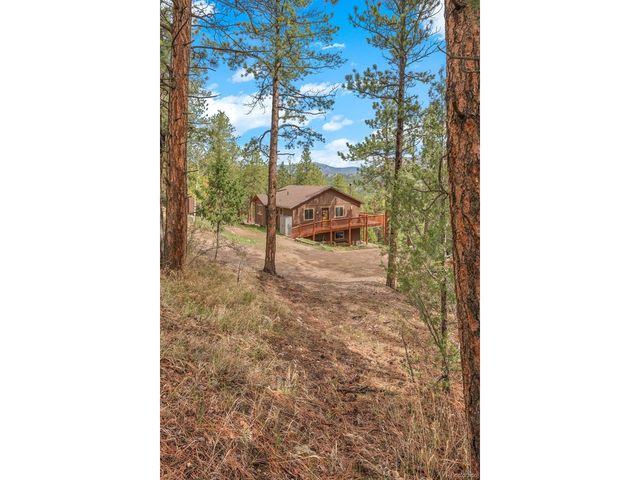 181 Catamount Ridge Rd, Bailey, CO 80421