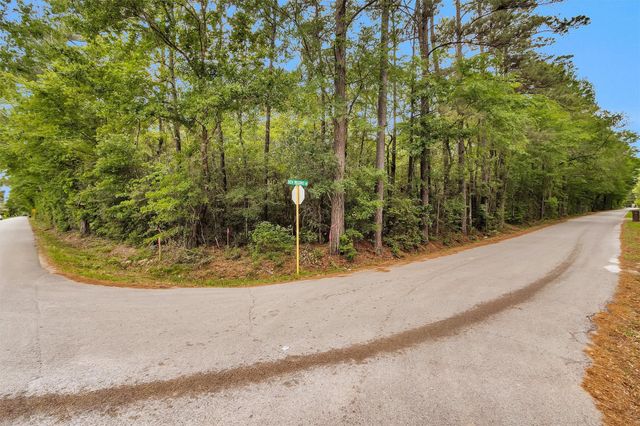 15711 Tree Monkey Rd, Conroe, TX 77303