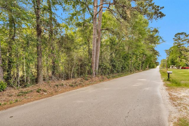 15711 Tree Monkey Rd, Conroe, TX 77303