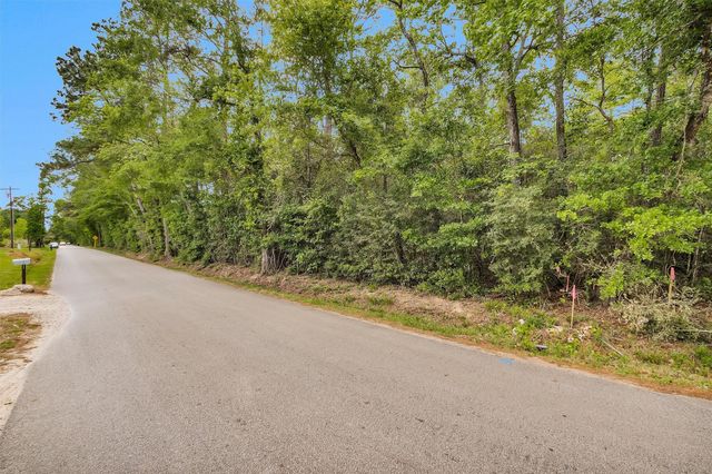 15711 Tree Monkey Rd, Conroe, TX 77303