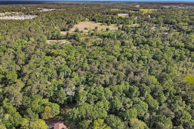 15711 Tree Monkey Rd, Conroe, TX 77303