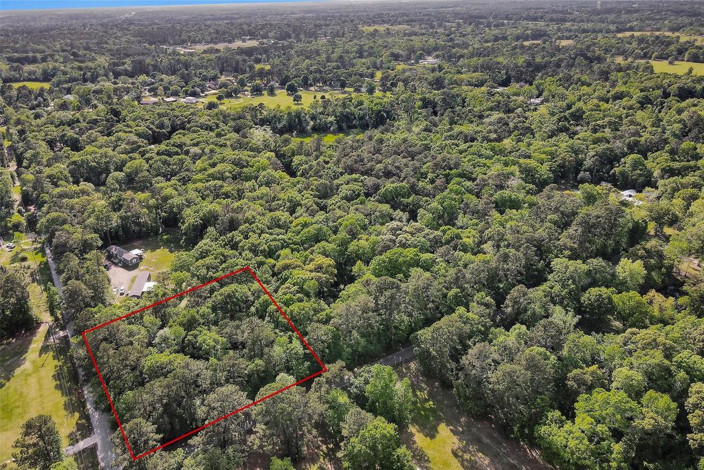 15711 Tree Monkey Rd, Conroe, TX 77303