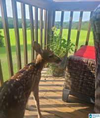 2865 JENIFER ROAD, Munford, AL 36268