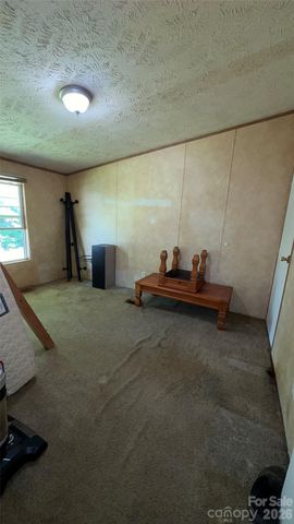 294 E Lester Lane, Hendersonville, NC 28739