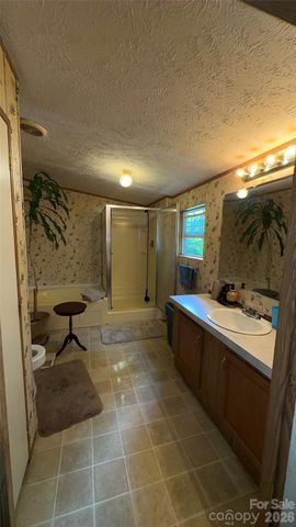294 E Lester Lane, Hendersonville, NC 28739