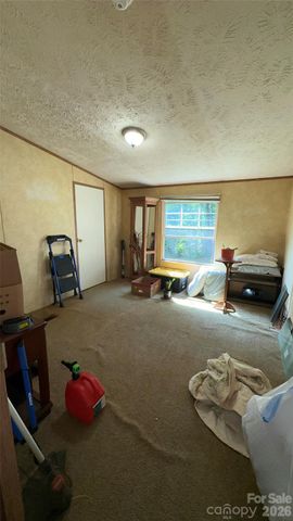 294 E Lester Lane, Hendersonville, NC 28739