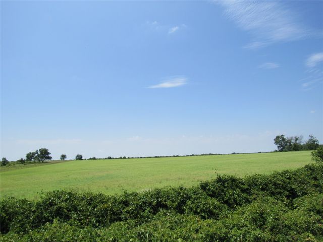 TBD Co Rd 295, Carbon, TX 76435