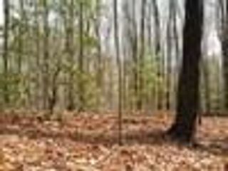 Lot 25 N Laurel Mountain Drive, Brasstown, NC 28902