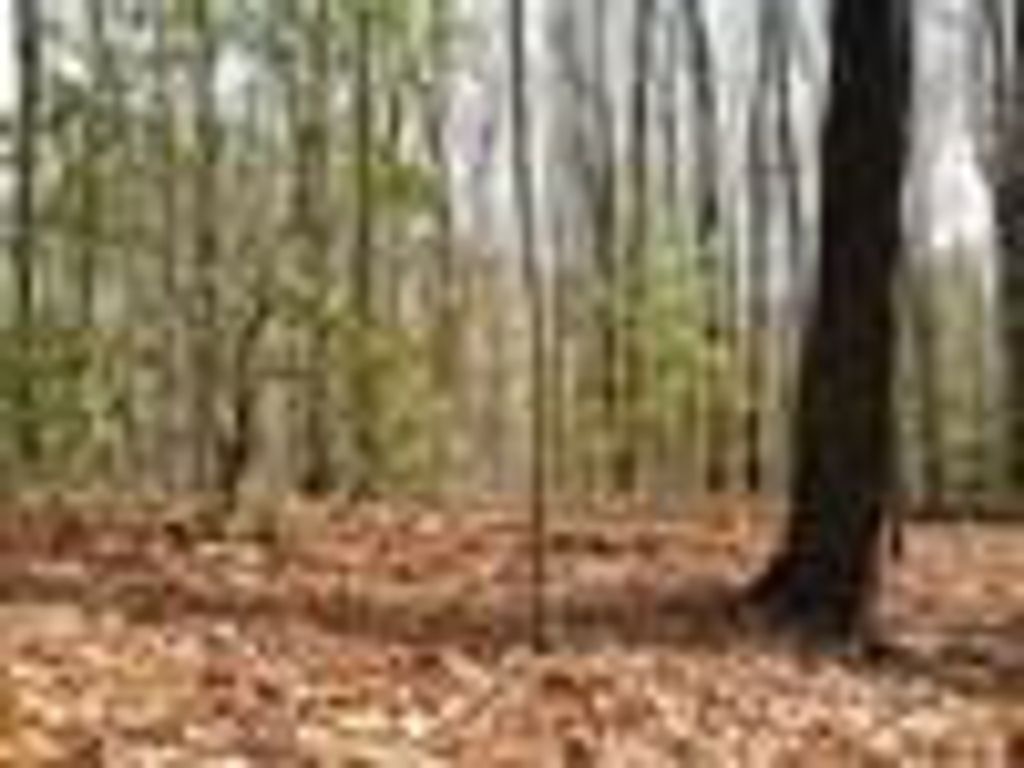 Lot 25 N Laurel Mountain Drive, Brasstown, NC 28902