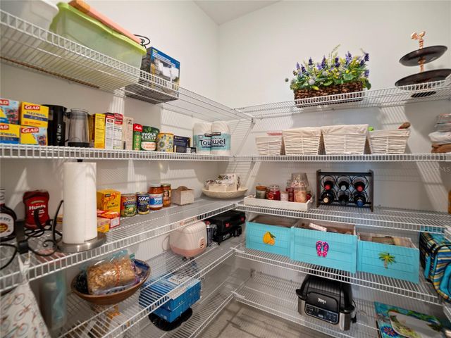 31467 CANNON RUSH DRIVE, San Antonio, FL 33576