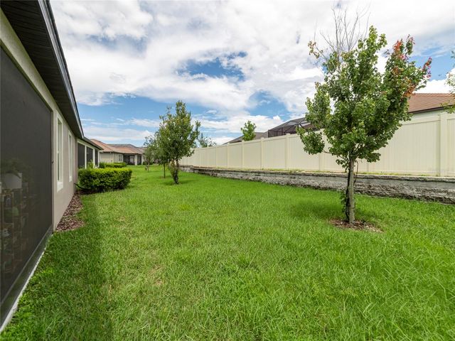 31467 CANNON RUSH DRIVE, San Antonio, FL 33576