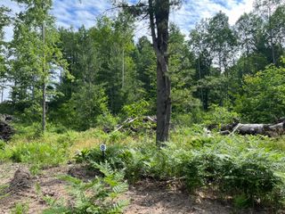 TBD Hoosier Flats Road, Traverse City, MI 49685