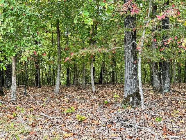 90 Mitchell Road, Batesville, AR 72501