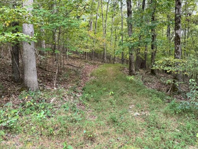 90 Mitchell Road, Batesville, AR 72501