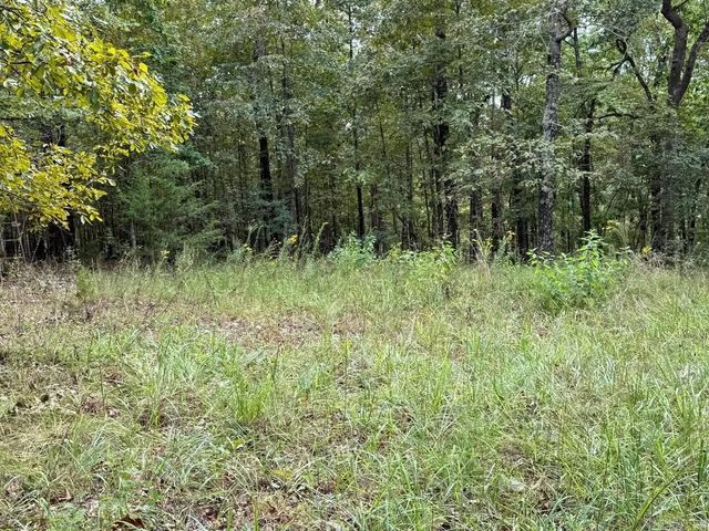 90 Mitchell Road, Batesville, AR 72501