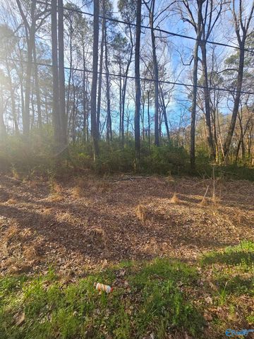 0.50 Mitchell Street, Madison, AL 35757