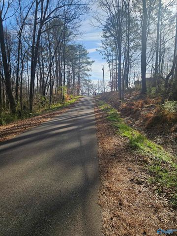 0.50 Mitchell Street, Madison, AL 35757