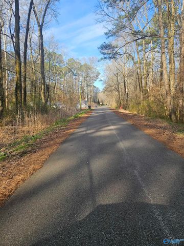 0.50 Mitchell Street, Madison, AL 35757