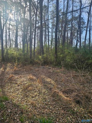 0.50 Mitchell Street, Madison, AL 35757