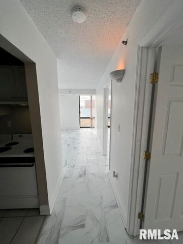 123 SW JEFFERSON Street E6W, Peoria, IL 61602