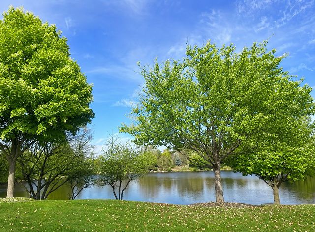 6816 Cobble Springs Lane, Wonder Lake, IL 60097