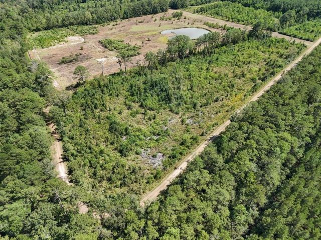 TBD Green Oak Cemetery Road, Kinder, LA 70648