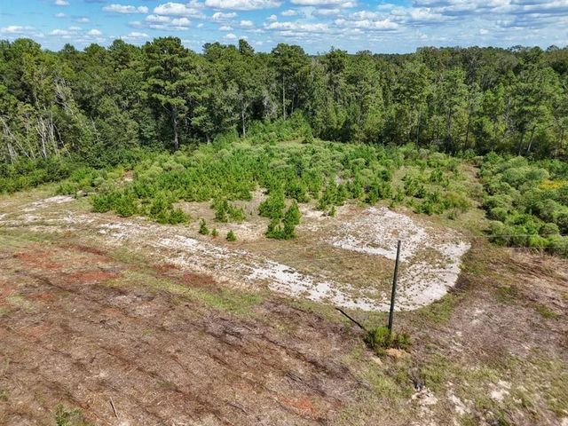 TBD Green Oak Cemetery Road, Kinder, LA 70648