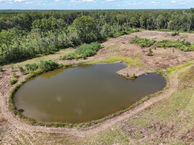 TBD Green Oak Cemetery Road, Kinder, LA 70648