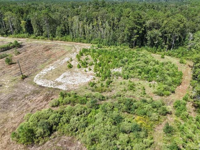 TBD Green Oak Cemetery Road, Kinder, LA 70648