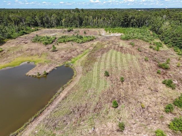 TBD Green Oak Cemetery Road, Kinder, LA 70648