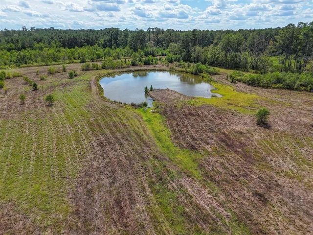TBD Green Oak Cemetery Road, Kinder, LA 70648