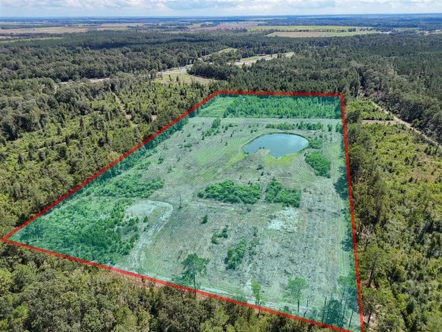 TBD Green Oak Cemetery Road, Kinder, LA 70648