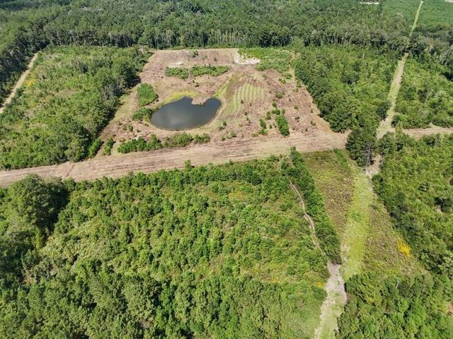 TBD Green Oak Cemetery Road, Kinder, LA 70648