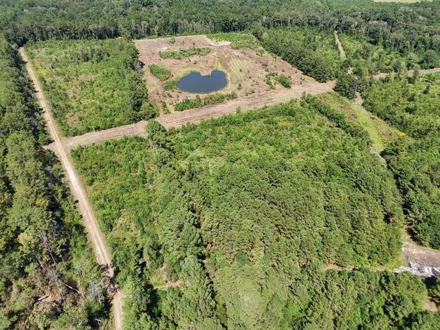 TBD Green Oak Cemetery Road, Kinder, LA 70648