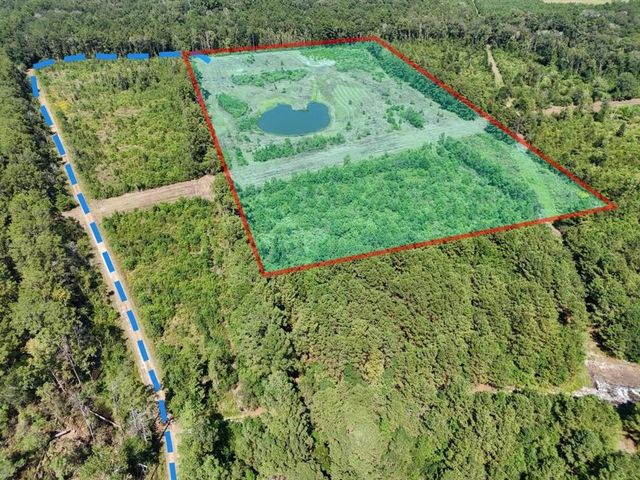 TBD Green Oak Cemetery Road, Kinder, LA 70648