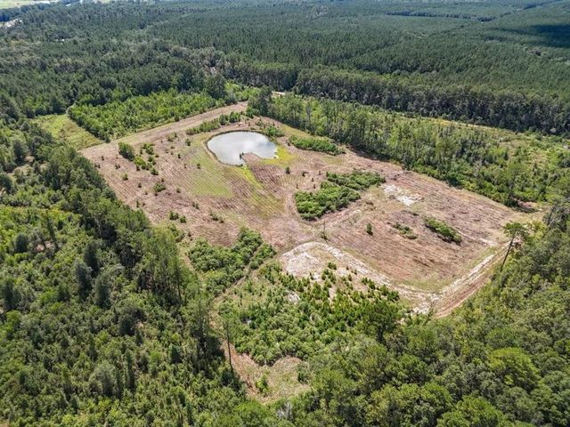 TBD Green Oak Cemetery Road, Kinder, LA 70648