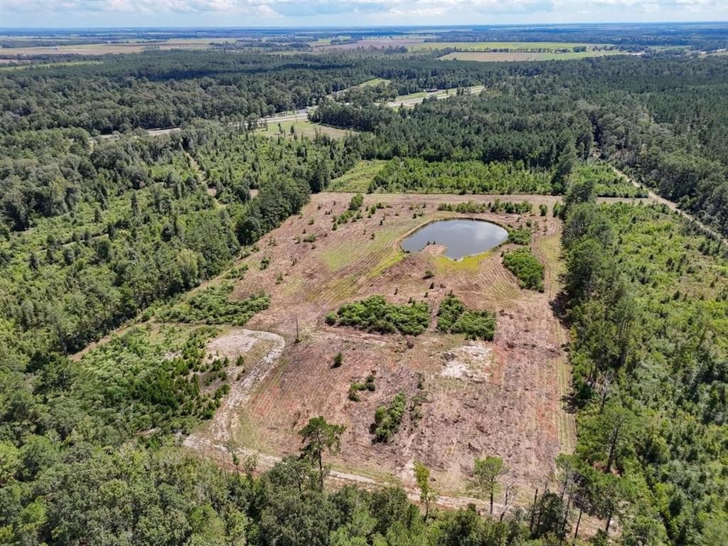 TBD Green Oak Cemetery Road, Kinder, LA 70648