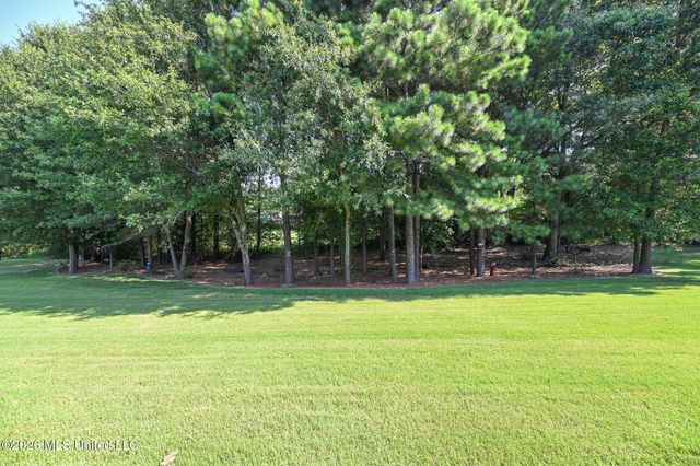 4650 Pleasant Breeze Drive, Olive Branch, MS 38654