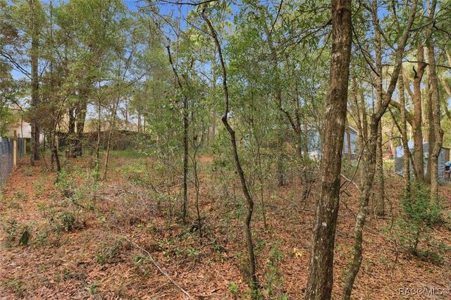 19120 SW 49th Place, Dunnellon, FL 34432