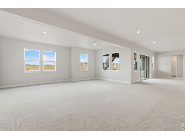 1613 Flourish Ct, Windsor, CO 80550