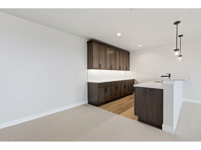 1613 Flourish Ct, Windsor, CO 80550