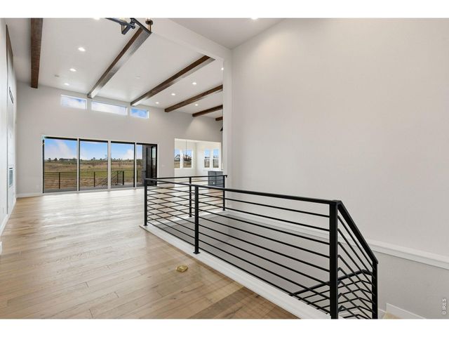 1613 Flourish Ct, Windsor, CO 80550