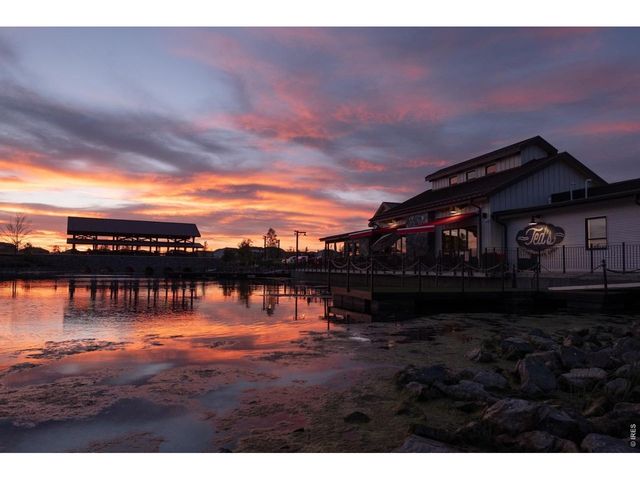 1613 Flourish Ct, Windsor, CO 80550
