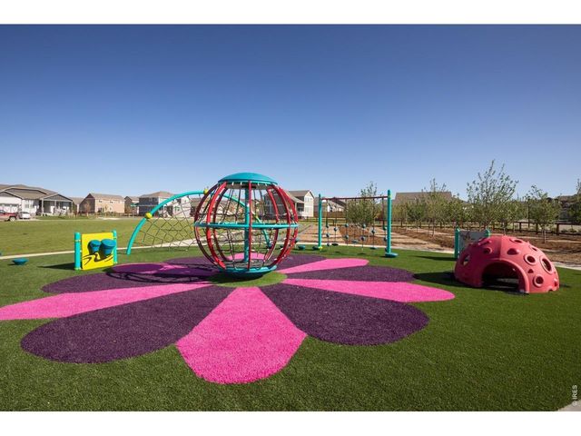 1613 Flourish Ct, Windsor, CO 80550