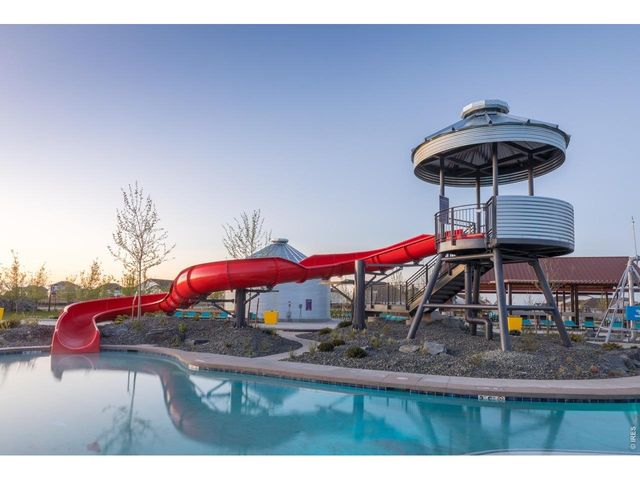 1613 Flourish Ct, Windsor, CO 80550