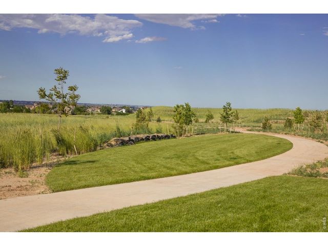 1613 Flourish Ct, Windsor, CO 80550