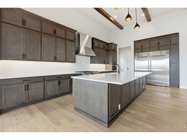 1613 Flourish Ct, Windsor, CO 80550
