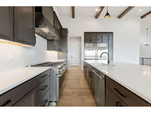 1613 Flourish Ct, Windsor, CO 80550