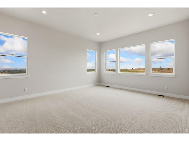 1613 Flourish Ct, Windsor, CO 80550